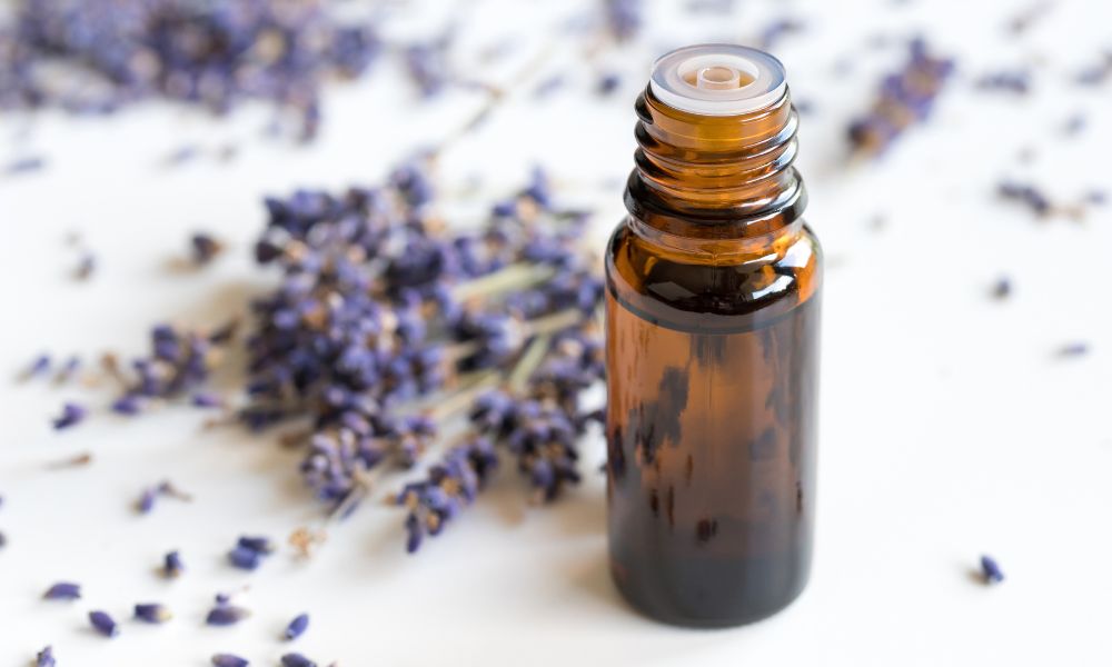tinh dầu lavender có tác dụng gì tinh dầu lavender có tác dụng gì
