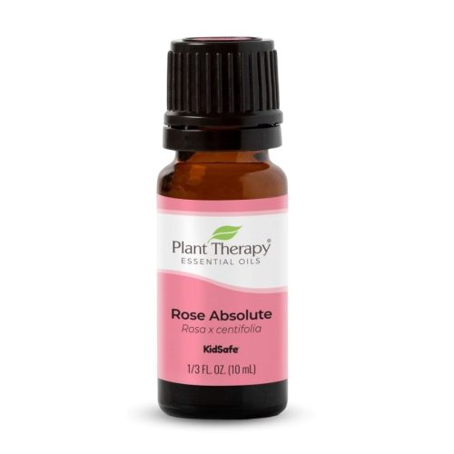 Tinh dầu Hoa Hồng (Rose Absolute) Plant Therapy