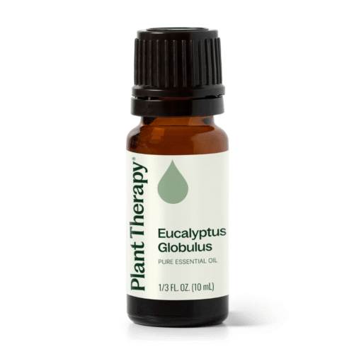 Tinh dầu Khuynh Diệp (Bạch Đàn) Eucalyptus Globulus