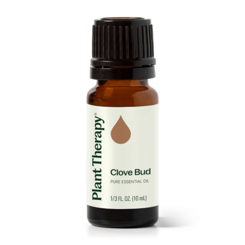 Tinh dầu Đinh Hương (Clove Bud)