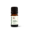Tinh dầu Gỗ Đàn Hương Úc (Australian Sandalwood)