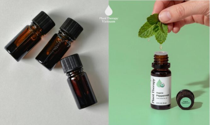 tinh dầu plant therapy