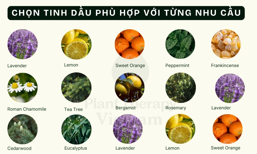 tinh dầu xông phòng