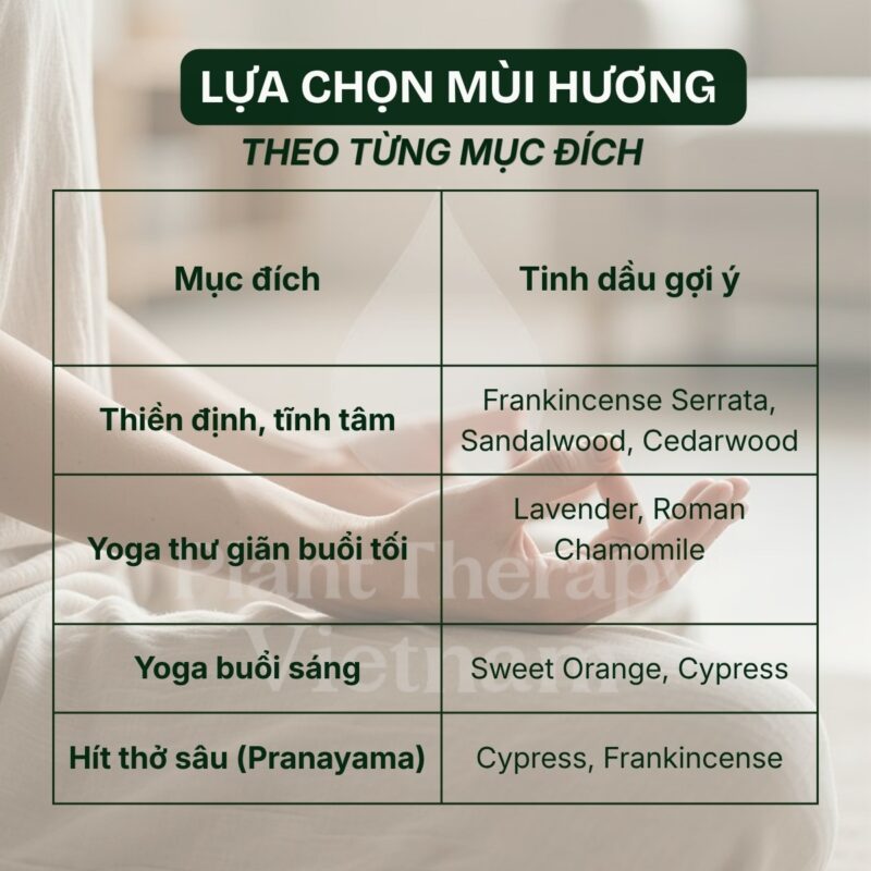 tinh dầu xông phòng yoga, thiền định
